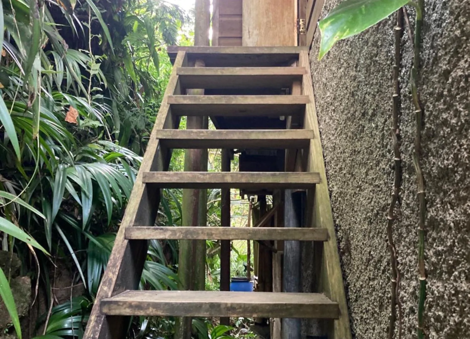 Blue Mountain Retreat Guest House Kingston 0*,  Jamaica