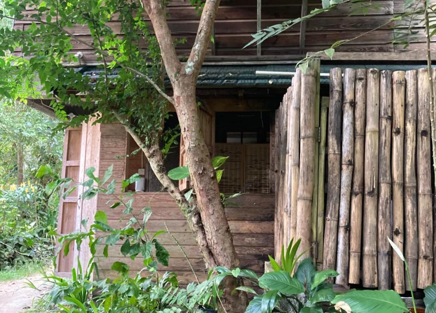 Country house Blue Mountain Retreat Guest House Kingston Jamaica