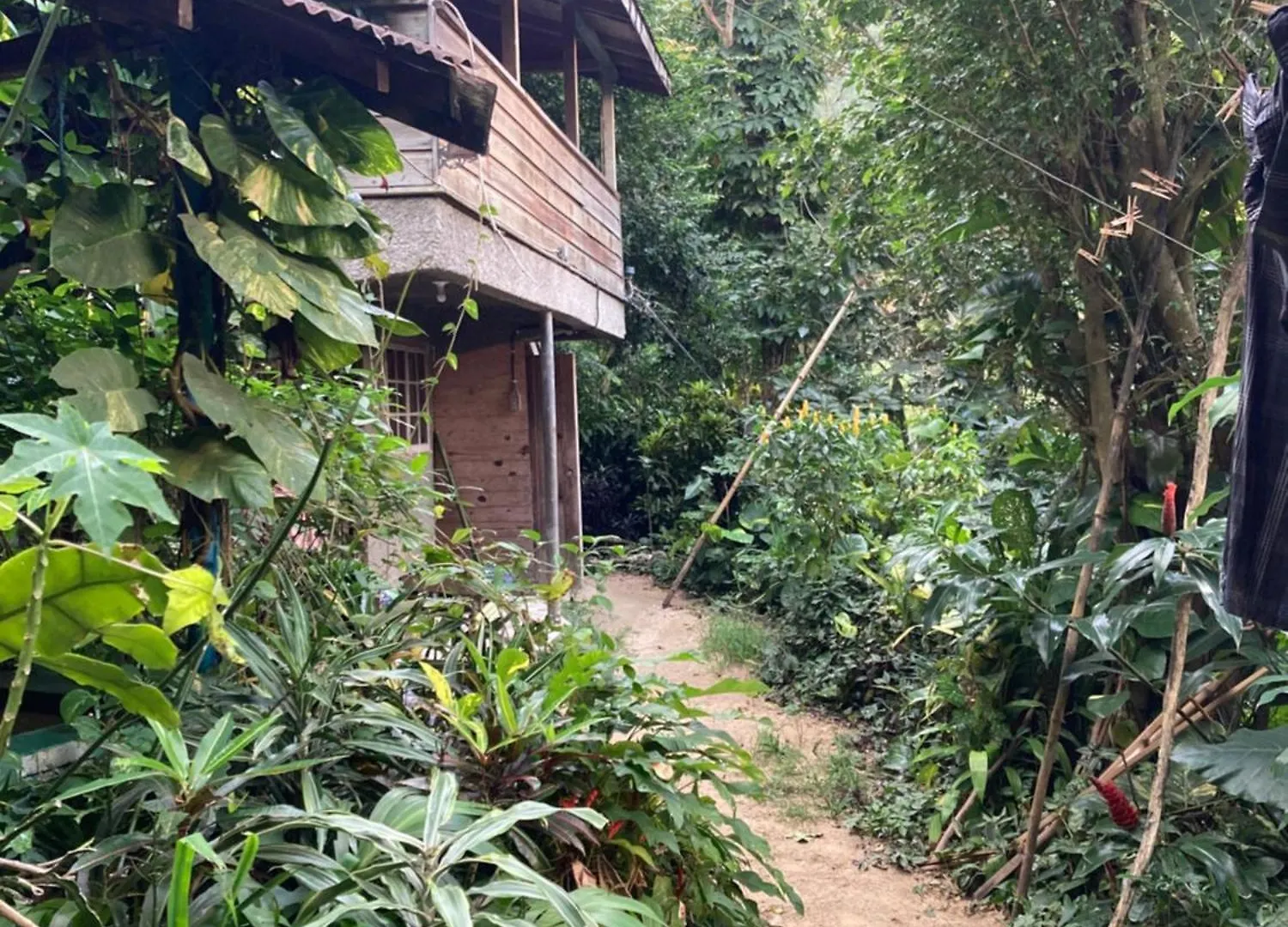 Country house Blue Mountain Retreat Guest House Kingston